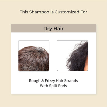 Vedix Ayurvedic Shampoo for Dry and Frizzy Hair, Vikleda Deep Conditioning Customized Sulfate Free Men Shampoo with Wheat Germ, Jojoba & Yashtimadhu, 100 ml